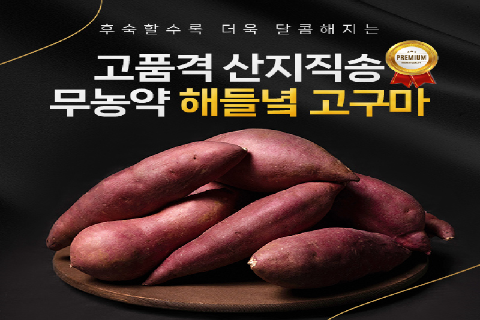 [전북 고창군] 무농약 꿀맛 해들녘 고구마 10kg (고창황토배기청정고구마연합영농조합법인)